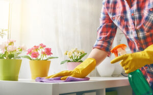 The Advantages of Spring Cleaning in Maryland, DC, and Virginia